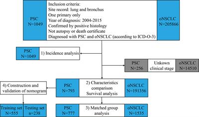Survival Analysis and Prediction Model for Pulmonary Sarcomatoid Carcinoma Based on SEER Database